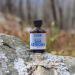 Code Blue Whitetail Doe Estrous OA1001  1-ounce Amber - Buy Online on GoSupps.com