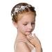 Ideal Swan Girl Headpiece Accessory  Girl Hairbands Pearl Crystal Headband Princess Wedding Bride Hair Pins Clips Tiara for Women and Girls Suitable for Shows  Children' Day (White) Style B 1 Headband