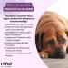 Itiko Joint & Bone Protection for Dogs | Green Lipped Mussel MSM Glucosamine Chondroitin & Omega 3 | Natural Alternative to Joint Tablets | Devil's Claw for Dogs - Buy Online on GoSupps.com