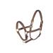 MiraQuine Leather Halter (VB/Cob Brown) VB/ Cob Brown