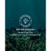 JUMISO Waterfull Hyaluronic Acid Sunscreen SPF 50+ PA++++ 1.69 fl.oz | Hydrating Vegan Sunscreen for All Skin Types - Buy Online on GoSupps.com