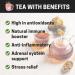 Cha-Cha Chaga Tea - 20 Tea Bags | Chaga Mushroom Tea with Cinnamon - Inonotus Obliquus - Wild-harvested Siberian Chaga Powder - Antioxidant Tea - Birch Moon Wellness Teas - Buy Online on GoSupps.com