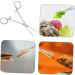 Parliky Reptile Feeding Clip Reptile Supplies Reptile Catching Stainless Steel Silver - Buy Online on GoSupps.com
