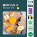 Bee & You Propolis Tincture Drops 10% (30ml) - Alcohol-Free Liquid Extract No Additives Safe for Children & Pets - Best Seller 2022 - Buy Online on GoSupps.com