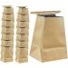 Healvian Kraft Paper Bags 60 Pcs - Mini Trash Bags for Travel and Vomit Disposal - Buy Online on GoSupps.com