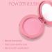 Erinde Blush Powder Makeup for Contouring & Highlighting - Shimmery or Matte Finish | Natural Glow | Smooth & Blendable (06) - Buy Online on GoSupps.com