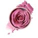 Powder Blush - 10ml Rose Petal Blush | Long-Lasting 3D Formula Easy-to-Apply Tri-Color Blush for a Natural Look | Lightweight Formula for Women and Girls