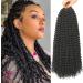 Passion Twist Hair Passion Twist 6 Packs 18 Inch (45.5 cm) Braids/Extensions Faux Locs Crochet Hair Yddm Synthetic Hair Extensions Passion Twist Crochet Braids Hair (2# 6 Packs Economy Pack) 2# 6Packs ECONT PackE