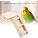 Small Animal Toys: Wooden Schwenkleiter Ladder & Swing Set for Hamsters Parrots & Small Pets - Buy Online on GoSupps.com