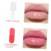 FRCOLOR 6 Pcs Lip Oil Plumper - Moisturizing Lip Gloss Natural Lip Stain & Cosmetic Balm for Gorgeous Lips - International Shipping Available - Buy Online on GoSupps.com