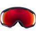 Oakley Canopy Snow Goggles USOC Blazing Eagle - Large | Shop Now - Buy Online on GoSupps.com