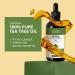 Organic Tea Tree Oil - 100% Pure Essential Oil for Skin & Hair Care | Natural Antiseptic & Cleanser | Non-GMO Nourishing Oil for Men & Women - 4fl oz (118 ml - Buy Online on GoSupps.com
