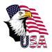 Dopetattoo 6 Sheets Temporary Tattoos Eagle America Usa Flag tattoo Temporary tattoo Neck