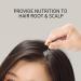 Ciwich Hair Serum Capsule with Ginseng & Honey Oil - 30pcs | Hair Growth Treatment for Dry Damaged Hair - Buy Online on GoSupps.com