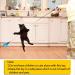 12 PCS Feather Teaser Cat Toy 2 Pcs Retractable Interactive Cat Teaser Rods 10 Pcs Replacement Colorful Feather Refills with Bells Feather Dangler Funny Exercise for Indoor Cat Kitten Catcher - Buy Online on GoSupps.com