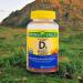 Spring Valley Vegetarian Vitamin D3 Gummies 2000 IU 50 mcg 160 Ct - Better Guide for Vitamins Supplements - Buy Online on GoSupps.com