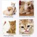 AWAVM 5 PCS Cat Teasers Cat Feather Wand Cat Toy Interactive Toy Feather Wand with Bell Natural Feather Refills - Buy Online on GoSupps.com