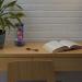 Lightahead LED Mini Desktop Fantasy Fish Lamp - Color Changing Aquarium Mood Lamp, Perfect Gift - Buy Online on GoSupps.com