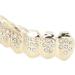 Hip Hop Teeth Set Convenient Hip Hop Teeth Brace for Women for Men for Birthday for Hip Hop Fashion Shows for Halloween Party(gold) - Buy Online on GoSupps.com