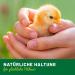 Effective Chicken Land Mite Spray 500ml Protect Against Mites & Parasites | Mite Prevention & Treatment - Buy Online on GoSupps.com