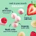 GERBER Organic Yogurt Melts Strawberry Banana Toddler Snack 28 g - Buy Online on GoSupps.com