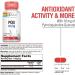Solaray PQQ 10mg Supplement for Cellular Heart & Cognitive Support - 30 VegCaps - Buy Online on GoSupps.com