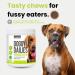 Doggy Dailies Probiotics for Dogs - Canine Supplements for Digestive and Immunity Support - Skin Health and Itch Support - Vitamin Treats - Veterinarian Formulated Probiotic 180 Count (Pack of 1) - Buy Online on GoSupps.com