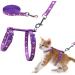 Cat dishes and leash adjustable outbreak -proof chest strap with safety buckle for walks outdoors suitable for small medium -sized and large kittens reflective