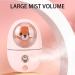 Cute Animal Facial Mist Sprayer 35ml Water Tank Vibration USB Rechargeable Mini Eye Face Humidifier for Traveling (Roseate) - Buy Online on GoSupps.com