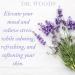 Dr. Woods Lavender Castile Soap 32oz with Organic Shea Butter - Pure & Gentle - Buy Online on GoSupps.com