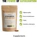 Buy Cupulated Astaxanthin 60 Capsules - Bio Superfood Supplement | 160 mg per Capsule 5% Extract - No Tablets 12 mg 6 mg or Powder - International Shipping Available - Buy Online on GoSupps.com