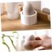 minkissy Sponge Rack White Sponge Holder Makeup Sponge Holder Ventilated Sponge Holder Beauty Sponge Holder Sponge Drying Rack Sponge Stand Storage Beauty Egg Powder Puff Holder Tool - Buy Online on GoSupps.com