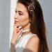 Minkissy Round Hair Clip Minimalist Dainty Hollow Geometric Hair Pin Circle Acrylic for Women Lady (Spotted Coffee) - Buy Online on GoSupps.com