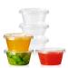 Turbo Bee 100 Sets 2oz Portion Cups with Lids,Jello Shot Cups with Lids, Small Disposable Souffle Portion Container for Salad Dressing Sauce Condiment Snack Souffle and Salsa 100pack2oz