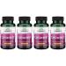 Swanson Celadrin - Esterified Fatty Acid Blend Promoting Joint Flexibility Mobility and Overall Joint Support - (90 Softgels 350mg Each) (4 Pack)