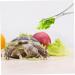 BCOATH Reptile Feeding Clip Lizard Stuff Feeding Tongs Snake Tongs Stainless Steel Silver - Buy Online on GoSupps.com