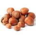 Farm Fresh Nuts Brand Natural In Shell Raw Filberts/Hazelnuts (2 lbs.) - Vegan & Keto Friendly - Nutrient-Packed & Super Crunchy - 1 Pack - Buy Online on GoSupps.com