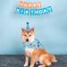 Yicostar Dog Birthday Party Supplies - Bandana Scarf & Birthday Hat Set for Dogs - Blue Pet Birthday Accessories - Buy Online on GoSupps.com