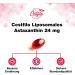 Cestfilo Liposomal Astaxanthin 24mg - Maximum Absorption Antioxidants Gluten-Free Non-GMO | 360 Capsules (6-Pack) - Shop Internationally - Buy Online on GoSupps.com