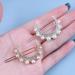 Allereya Crystal Pearl Moon Hair Clip Barrette Rhinestone Pearl Hairpin Barrette Silver CZ Crescent Moon Head Clip Headpieces Meniscus Pearl Hair Accessories for Women Girls (Silver) - Buy Online on GoSupps.com