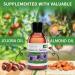 KitaMa Aroma Orchid Massage Oil - Nourishing Body Care Oil for Relaxation - 250ml (1 Pack) - Thai Essential Oil for Massages - Buy Online on GoSupps.com