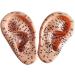 Ernzi Ear Acupuncture Model - 1 Pair 17cm with HD Lettering for Acupoint Studies & Meridian Massage - Buy Online on GoSupps.com