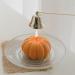 Halloween Aromatherapy Candles | Fall Pumpkin Natural Soy Candles for Home & Gifts - Buy Online on GoSupps.com