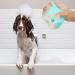 Soft Silicone Dog Cat Bath Brush with Shampoo Dispenser - Green Blue | Pet Grooming Tool for Short Haired Dogs & Cats - Buy Online on GoSupps.com