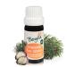 Bergila essential oil fibrous pine (Pinus harp