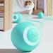 TGKYK Electric Cat Toys - Interactive Intelligent Balls for Cats & Dogs - 2 Pack (Pink & Green) - Quiet & Fun Playtime - Buy Online on GoSupps.com
