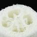 4PC Loofah Soap Dish Tray Set | Natural Loofah Sponge Rack for Bathroom & Kitchen | Durable & Strong | Ideal for Household Cleaning - Buy Online on GoSupps.com