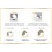 Buy Coc March Sweet Honey Eco Clean Laundry Detergent - Hypoallergenic All-Natural 60 Loads Biodegradable - Long Lasting Fresh Scent for International Shipping - Buy Online on GoSupps.com