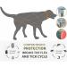 Syang Tick Collar for Dogs & Cats - 2-Pack Fluorescent Parasite Prevention Collar 8-Month Protection Universal Fit (Yellow & Black) - Buy Online on GoSupps.com