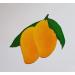 7D Dried Mangoes 140g - Pack of 5 | Premium Quality Mango Snacks - Buy Online on GoSupps.com